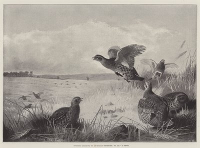 スポーツの主題、ドライブ 作： Archibald Thorburn
